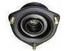 Strut Mount:54320-35F00